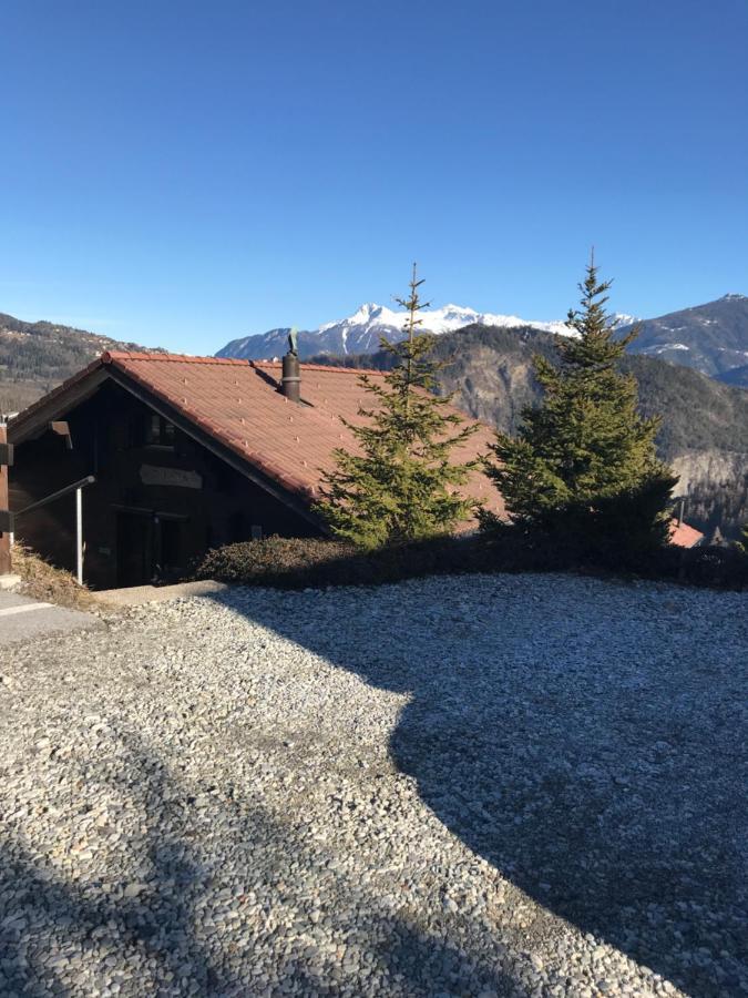Chalet Siesta Ayent Εξωτερικό φωτογραφία
