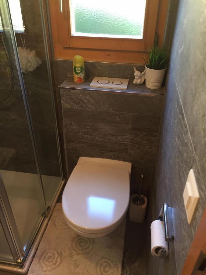 Chalet Siesta Ayent Εξωτερικό φωτογραφία